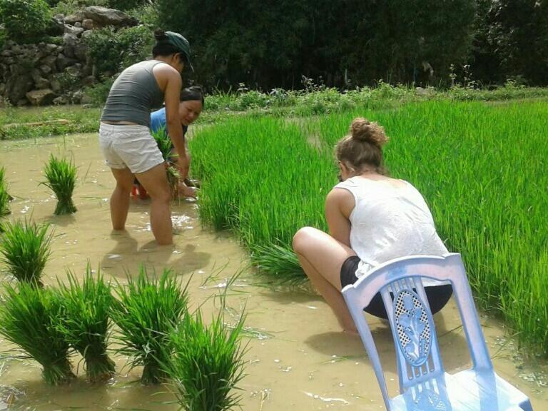 Yen Nhi Homestay Ban Gioc Каобанг Экстерьер фото